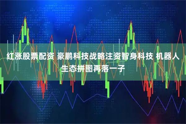 红涨股票配资 豪鹏科技战略注资智身科技 机器人生态拼图再落一子