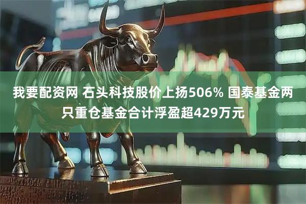 我要配资网 石头科技股价上扬506% 国泰基金两只重仓基金合计浮盈超429万元
