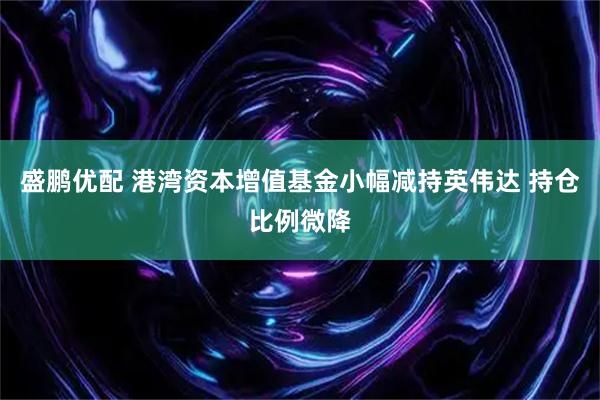 盛鹏优配 港湾资本增值基金小幅减持英伟达 持仓比例微降